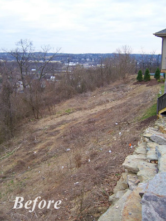 Neville Project Severe Drop Off in the Backyard