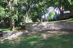 Tree Garden Walls 